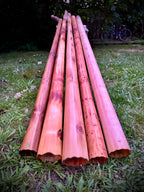 Wooden Didgeridoo - Strip Didge